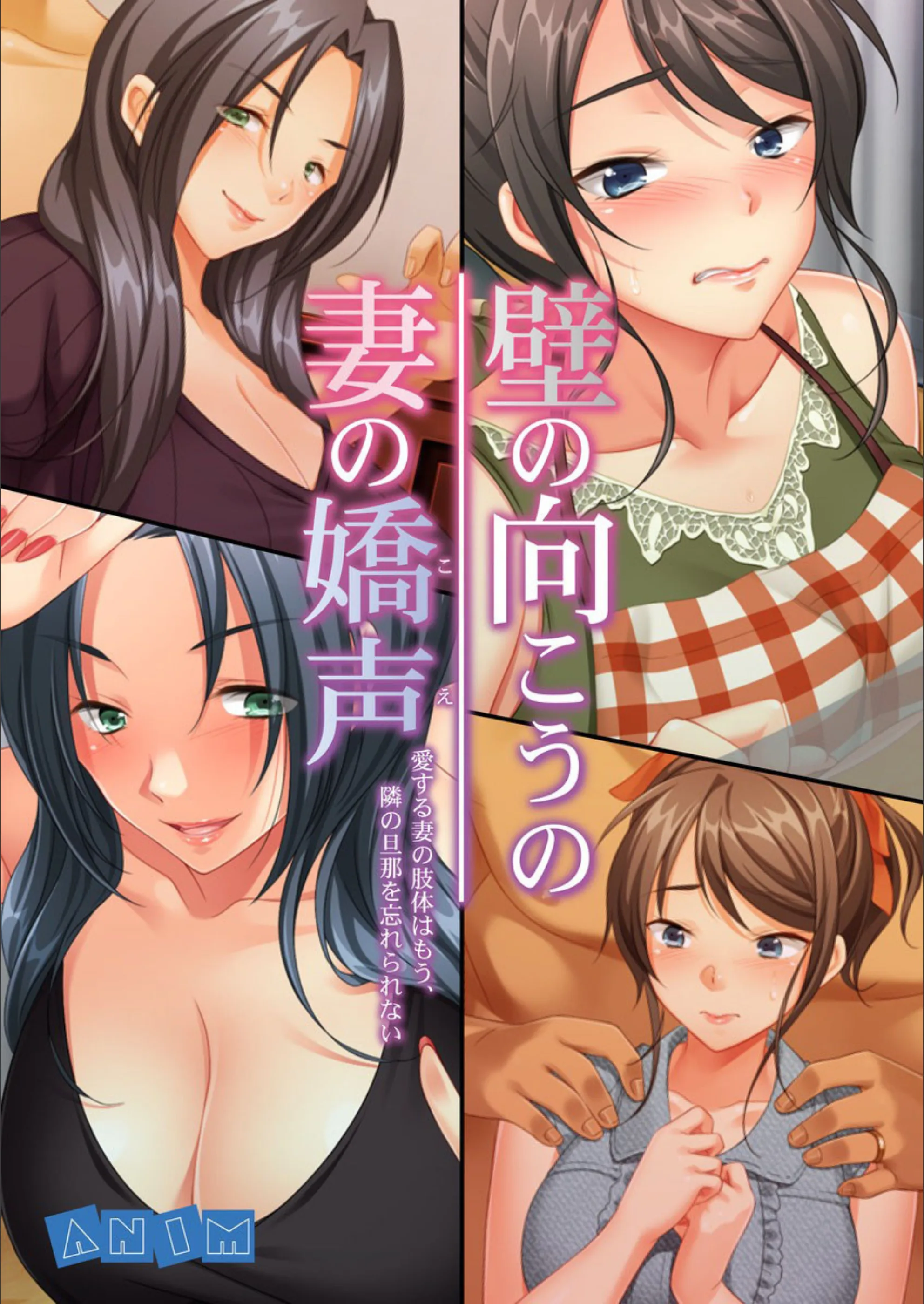 壁の向こうの妻の嬌声 〜愛する妻の肢体はもう、隣の旦那を忘れられない〜