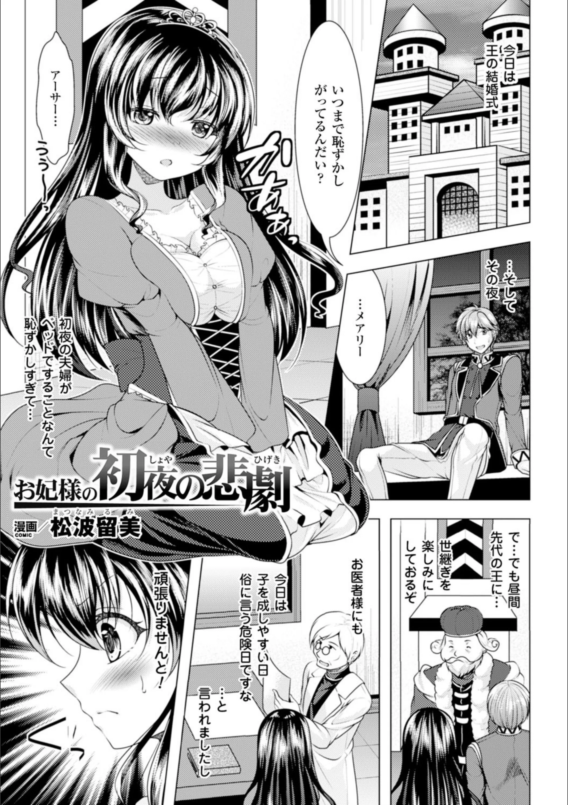 お妃様の初夜の悲劇（単話）