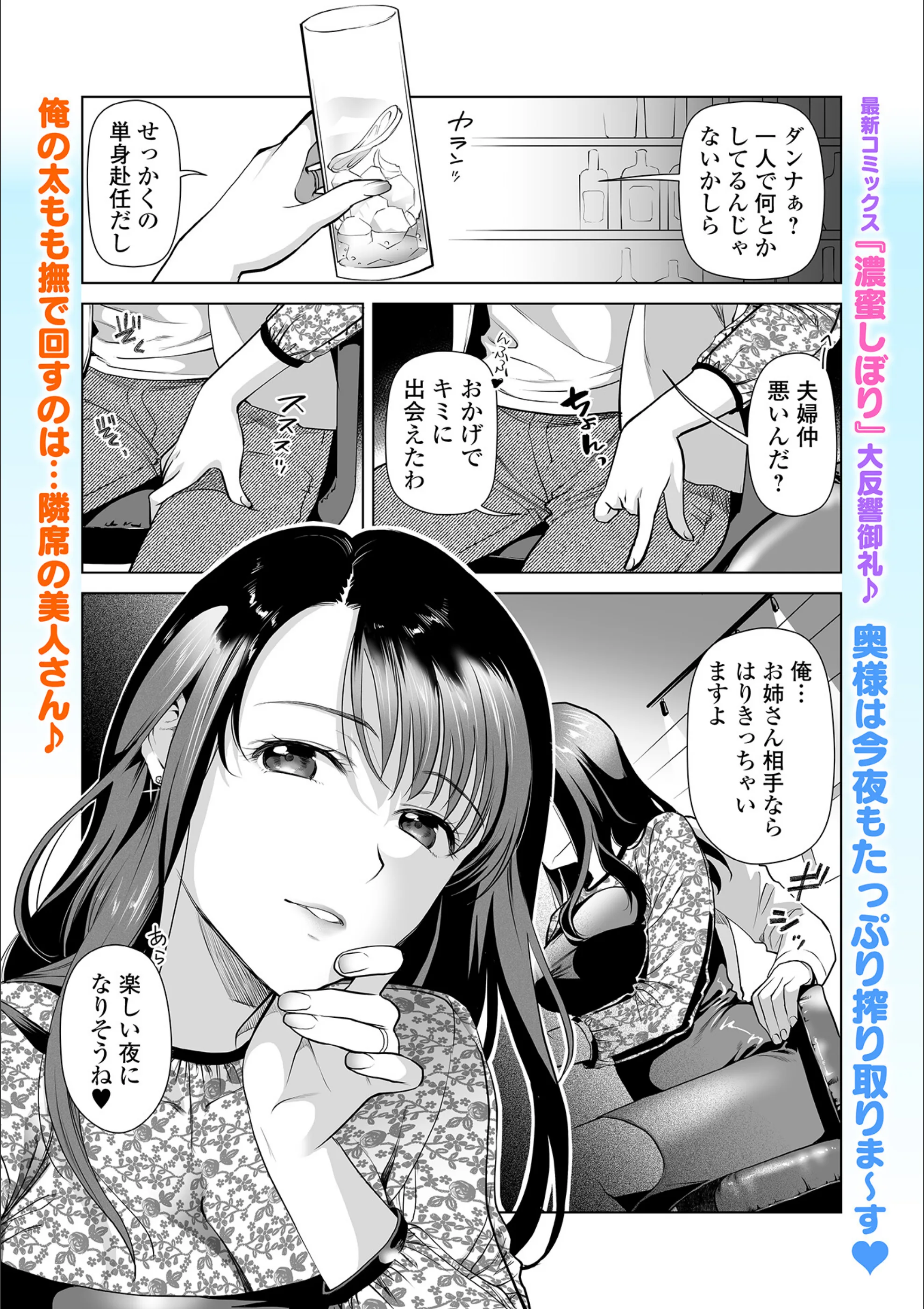 ワンナイト・インシデント（単話）